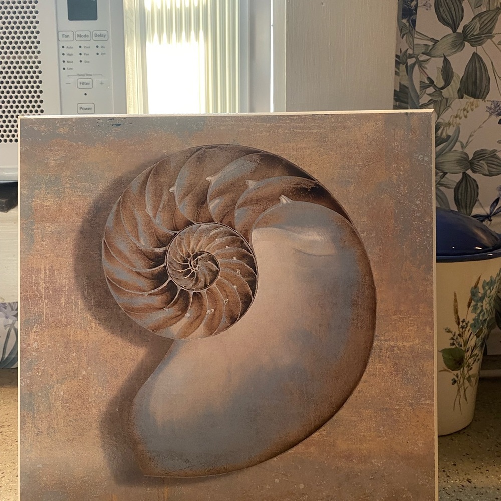 Nautilus Shell Wooden Wall Plaque Art